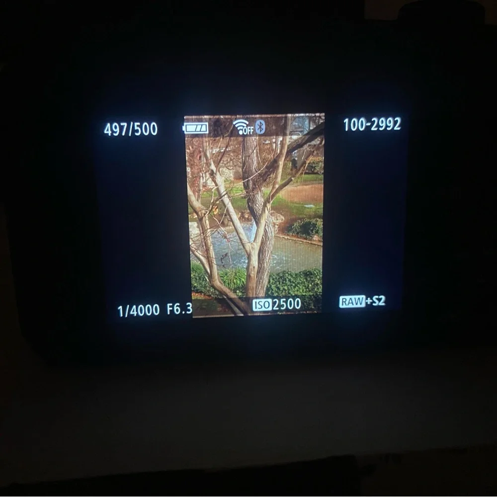Canon eos R100